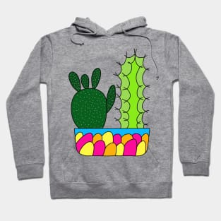 Cute Cactus Design #91: 2 Cacti Types In A Colorful Pot Hoodie